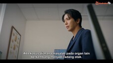 Brain Works E06 720p