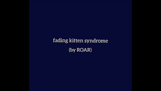 speckletail & snowkit - fading kitten syndrome (ROAR) | warriors pmv