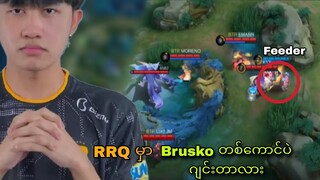 RRQ မှာ Brusko တစ်ကောင်တည်းကပဲ ဂျင်းနေတာလား 🤔