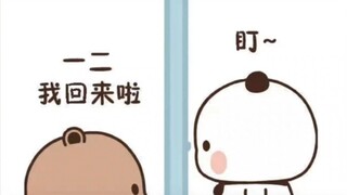 一二又来欺负布布了，
