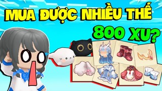 MẶP DORAM BẤT NGỜ VÌ 800 XU CÓ THỂ MUA ĐƯỢC SIÊU NHIỀU THỨ TRONG MINI WORLD