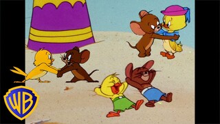 Tom und Jerry auf Deutsch|Jerry und das unartige Entlein beste Freunde für immer|@WBKidsDeutschland​