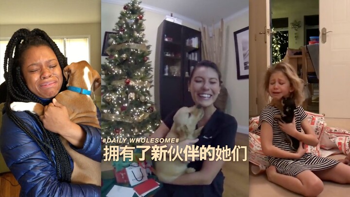 POV：累了一天下班回到家中后的你，发现家里多了一个新成员