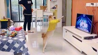 😂😂😂huli ka ganda talent mo🤣🤣🤣🤣