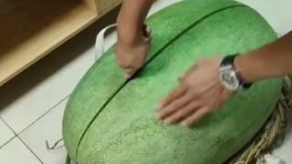 Berapa harga satu pon semangka sekarang?
