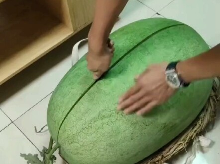 How much does a pound of watermelon cost now?