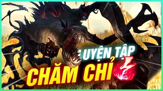 NHỮNG HÌNH ẢNH BỘ ĐÔI MID JUNGLE TOP 8 LUYỆN TẬP CHĂM CHỈ | LEVI STREAM