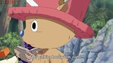 Robin and Chopper Cute Moments ! ( One Piece )