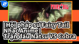 [Hội pháp sư Fairy Tail Nhạc Anime] Trận đấu Natsu VS Cobra (Phần 2)_2