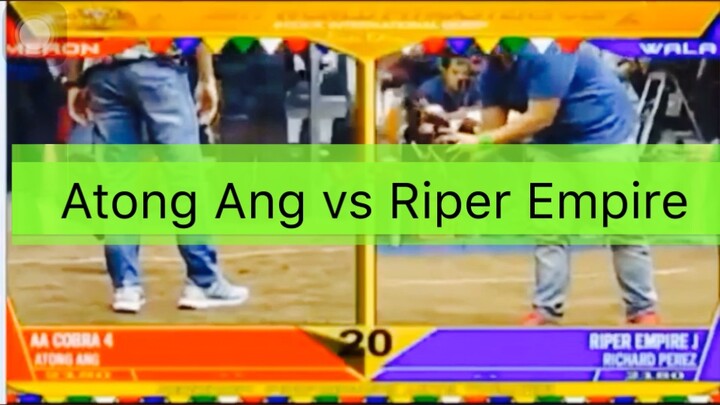 AA COBRA VS RIPER EMPIRE