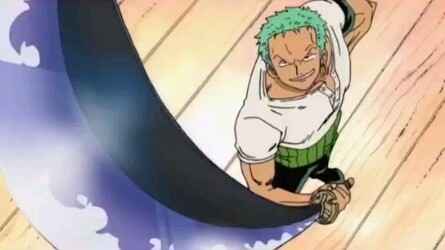 Zoro chose the sword, chose Zoro