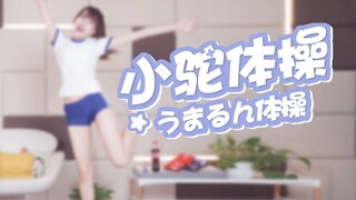 【骆歆】小埋体操！/回到17年夏天一起豁阔落！