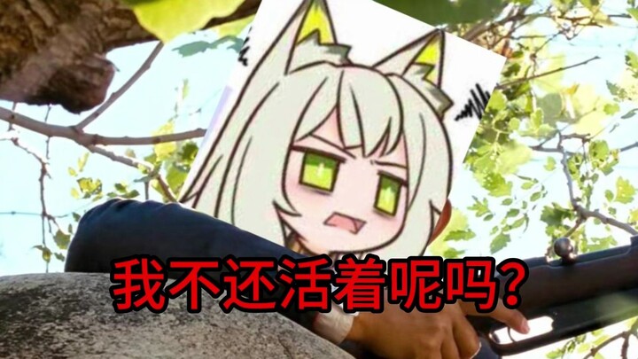 “海猫摔在地上变成了海跟猫”【吐槽】
