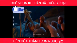 Thiến khóa thành con người, chú vượn dẫn dắt đồng loại p2