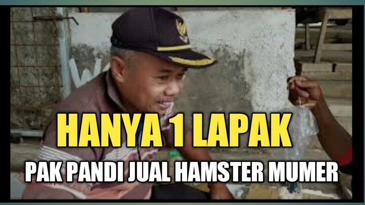 CUMA 1 LAPAK HAMSTER DI PASAR IKAN HIAS PARUNG