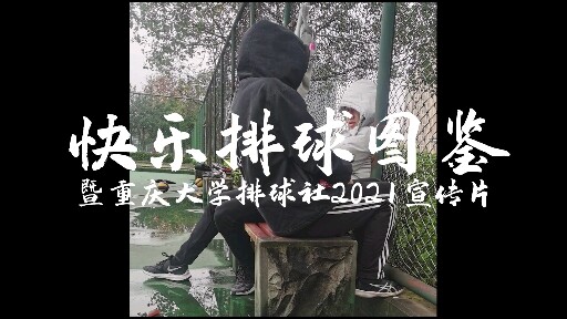 排球场快乐行为图鉴