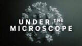 Coronavirus: Under the microscope | ABC News