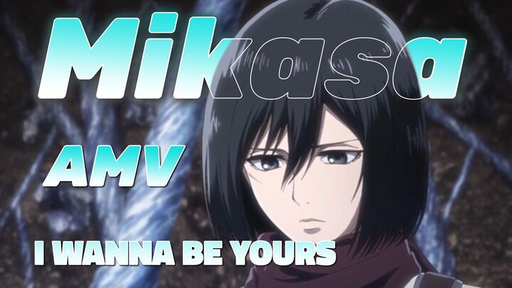 Kesetiaan Mikasa