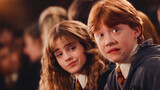 Smart girl-Hermione Granger in <Harry Potter>|<Home>