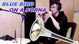 Super Epic! Blue Bird Played on a Sorna Gives Me Life