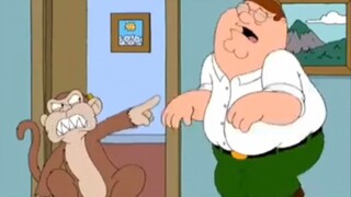 [Family Guy] [Phụ đề tiếng Trung] Bắt chước sự ra đời của Peter khóc tuyển tập