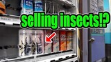 Selling insects!?Japanese Vending Machines in Akihabara