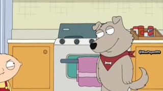 Maybe everyone likes this dog, but it annoys Stewie