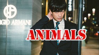 竹财辉之助/性感踩点向/animals/个人作品混剪