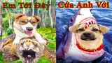 Thú Cưng TV | Bông ham ăn Bí Ngô Cute #61 | Chó thông minh vui nhộn | Pets cute smart dog