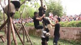 [Hewan]Panda yang Mudah Termakan Godaan Makanan