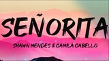 Shawn Mendes amp Camila Cabello - SeÃ±orita (Full Lyrics)