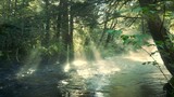 Forest meditation- sounds of nature and relaxing music