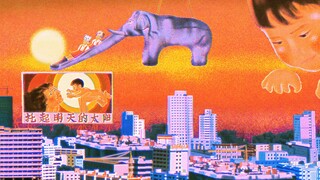"That day, the elephant never returned home"