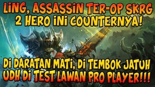 KALIAN TAKUT SAMA LING? PAKE 2 HERO INI AUTO PUSING LINGNYA!! UDH DI TEST LWAN PRO PLAYER!!!