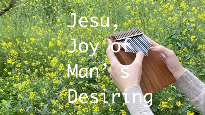 [Musik] Versi kalimba lagu Bach "Jesu, Joy of Man's Desiring Strings"