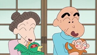 The Nohara family started the Matsutake cultivation project