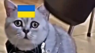 Ah Q spirit is everywhere, Russian netizens abstract live