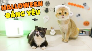 HALLOWEEN đáng yêu cùng các bé mèo | The Happy Pets #84