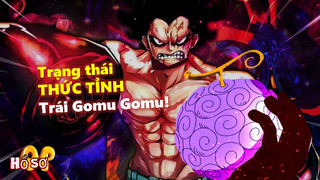 Oda đã ẩn ý về TRẠNG THÁI THỨC TỈNH của trái Gomu Gomu?