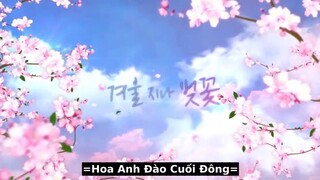 Hoa Anh Đào Cuối Đông EP 01 [Sub Việt]