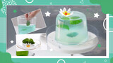 Nympheas Jelly Monet | Puding susu