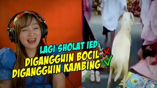 MOMEN LUCU IDUL ADHA - BIKIN NGAKAK