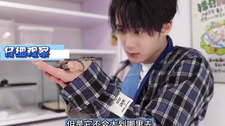 敢玩小蛇却害怕仓鼠的檀健次耶