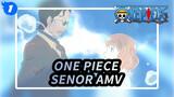 Tôi Chỉ Muốn Nhìn Thấy Bạn Cười Thêm Một Lần Nữa | One Piece Senor AMV_1