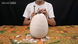 The guy bought the "Dinosaur Egg Fossil" at a high price, smashed it and laughed: This is to make a 