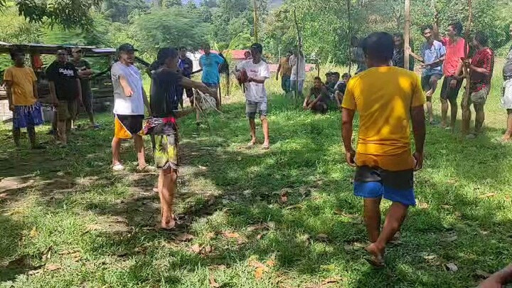 nanalo nanamn  sinibalang natin mga boss. mistiso lang laban sa highbreed, 1.6k lang parada namn 5.k