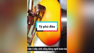 Thành tỷ phú nhờ trồng đào… hot review MeReviewPhim trending xuhuong tiktok SpiderManNoWayHome LearnOnTikTok