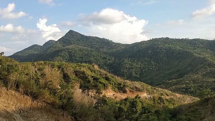 nature