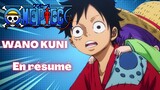 One Piece Wano Kuni en résumé