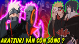 Thành Viên Tổ Chức Akatsuki Chưa Chết | Toàn Những Ninja Mạnh Mẽ Trong Anime Naruto